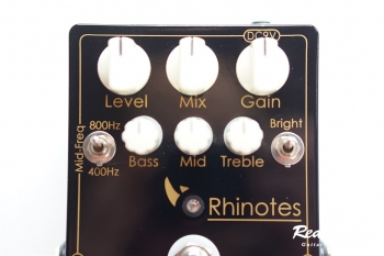 Rhinotes